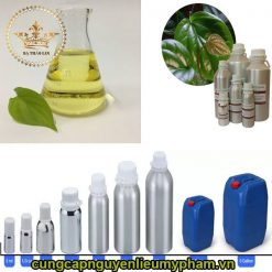 Chiết xuất lá trầu không