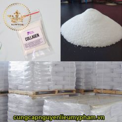 viên collagen