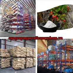 Nguyên liệu mỹ phẩm Alpha Arbutin (dạng bột)