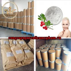 Nguyên liệu mỹ phẩm Beta Arbutin