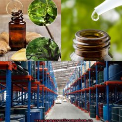 Tinh dầu long não là dầu được tinh chế từ thân gỗ của cây long não, sau khi được chưng cất hơi nước thì sẽ thu được tinh dầu tinh khiết