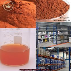 Chiết xuất bột thông đỏ hay tên thương hiệu là Pycnogenol® đây là loại nguyên liệu thiên nhiên mang lại nhiều lợi ích cho da
