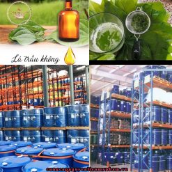Trong tinh dầu lá trầu không có chứa hàm lượng nước, bên cạnh đó có là đường, tinh dầu cùng các nhóm vitamin B, axit ascorbic và carotene.