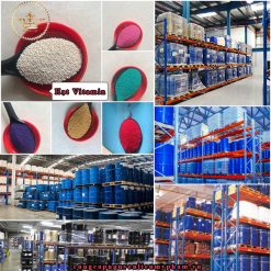 Hạt Vitamin trong mỹ phẩm là một thành phần nguyên liệu mỹ phẩm với lớp vỏ ngoài gồm có Microcrystalline cellulose, lactose và vitamin E sẽ được bao bọc bên trong