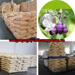 Nguyên liệu mỹ phẩm Allantoin