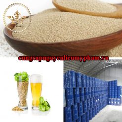 Nguyên liệu mỹ phẩm chiết xuất men bia