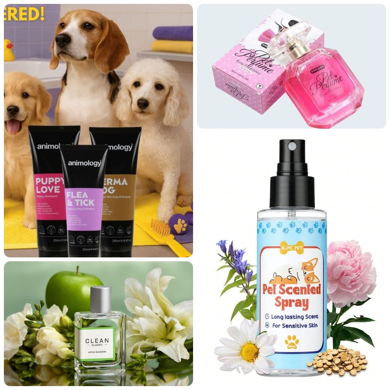 gia công nước hoa cho thú cưng