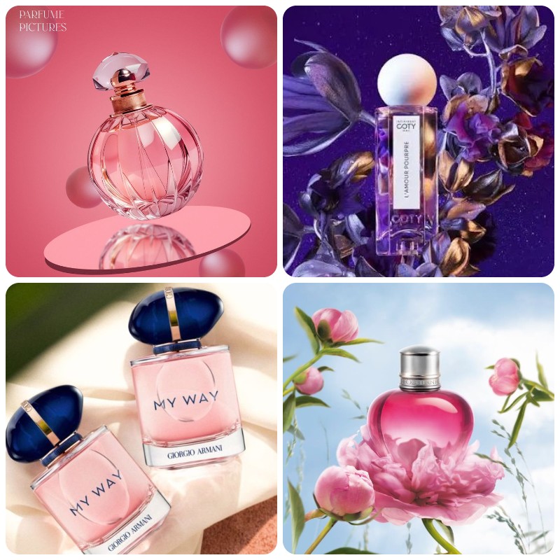 gia công nước hoa cho thú cưng