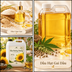 Top 30 Dầu Nền Mỹ Phẩm